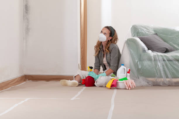 Reliable Mold Remediation contractor in Hagerstown, MD by WQB Mold Removal